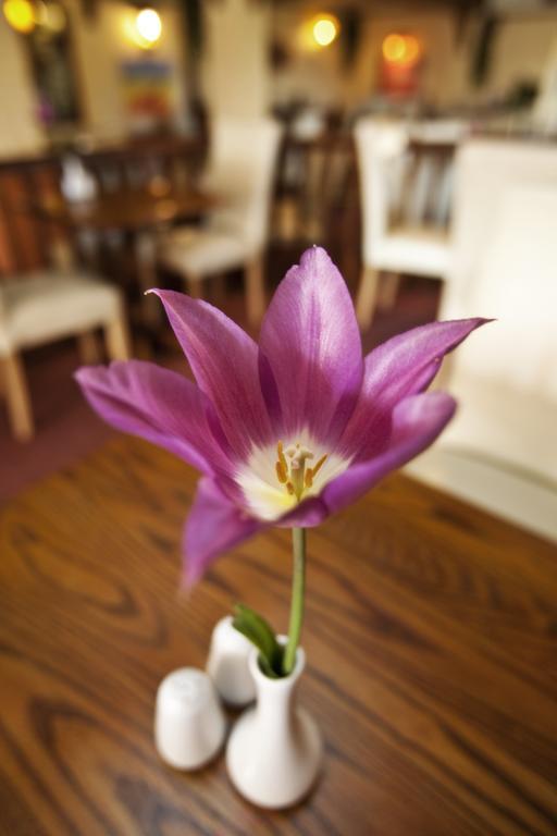 Longfrie Inn Saint Saviour Dış mekan fotoğraf